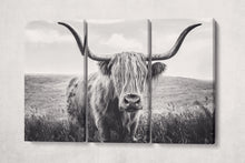 Laden Sie das Bild in den Galerie-Viewer, 3 Panel Close Up Brown Highland Cow Framed Canvas Leather Print