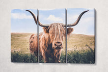 Laden Sie das Bild in den Galerie-Viewer, 3 Panel Close Up Brown Highland Cow Framed Canvas Leather Print