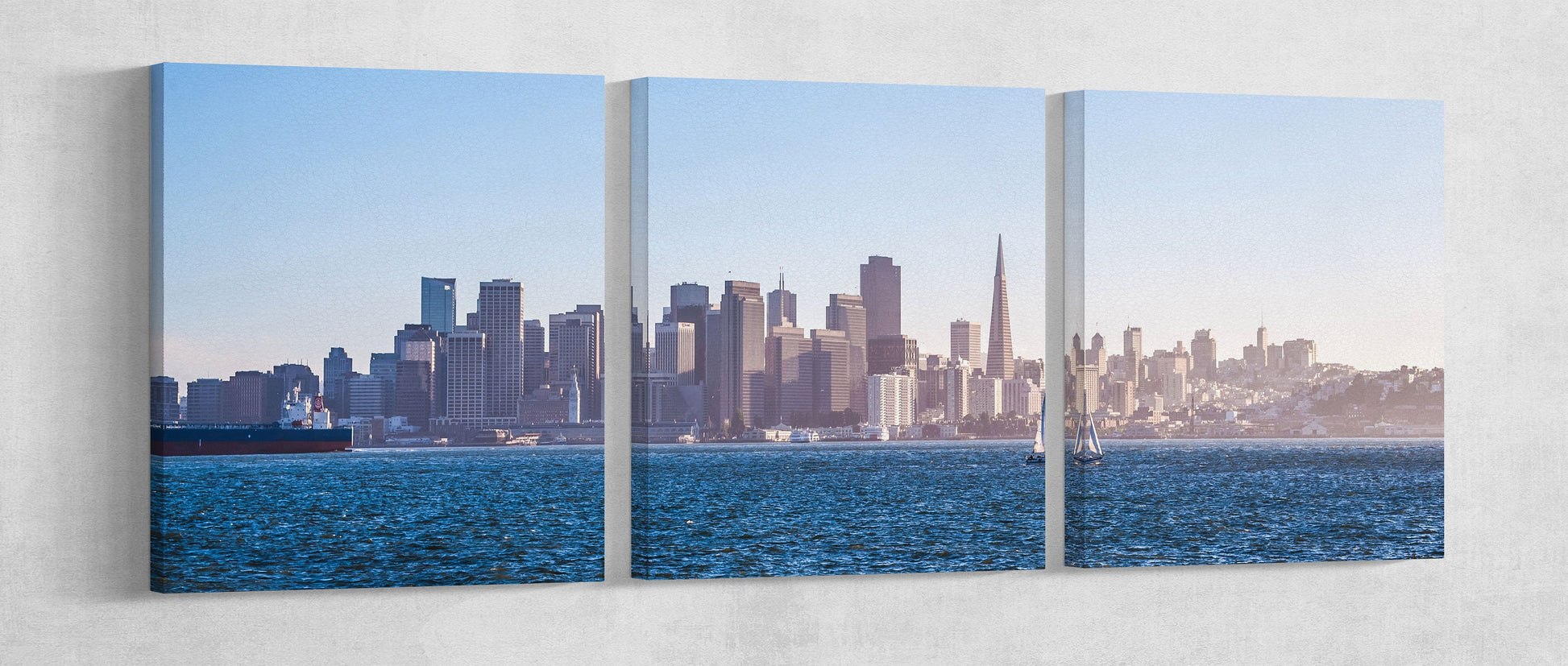 Panoramic View San Francisco Wall art Leather Print