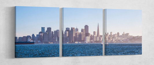 Panoramic View San Francisco Wall art Leather Print