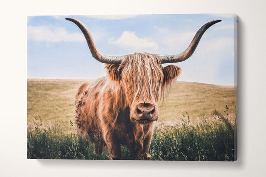 Close Up Brown Highland Cow Framed Canvas Leather Print, Made in Italy!