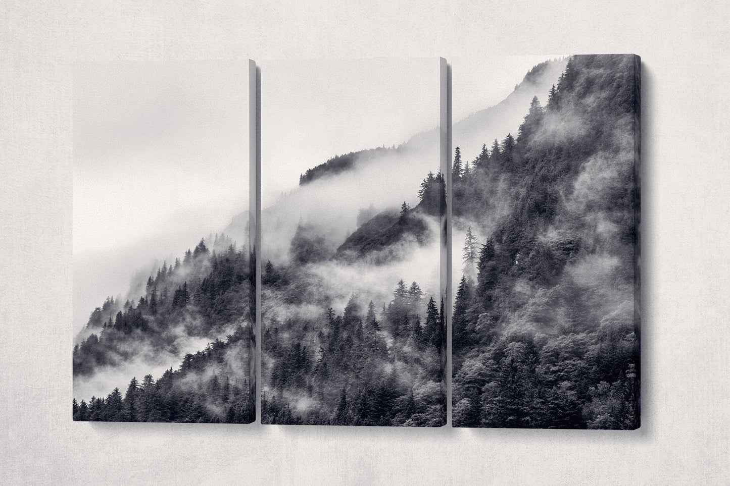 Misty Mountain in Black and White Framed Canvas Eco Leather Print, Made in Italy!