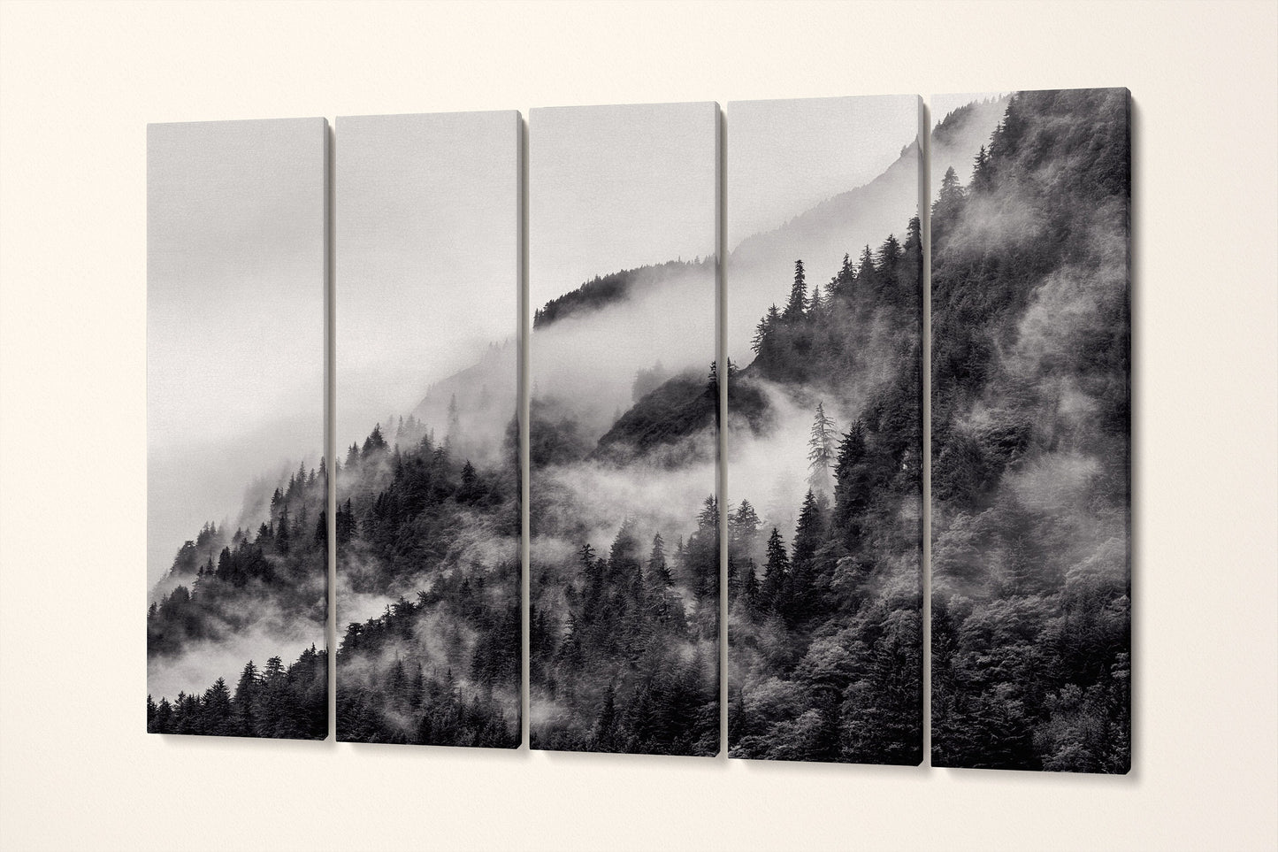 Misty Mountain in Black and White Framed Canvas Eco Leather Print, Made in Italy!