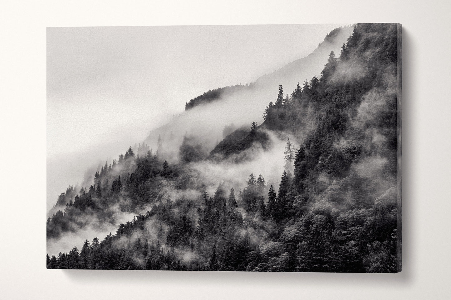 Misty Mountain in Black and White Framed Canvas Eco Leather Print, Made in Italy!