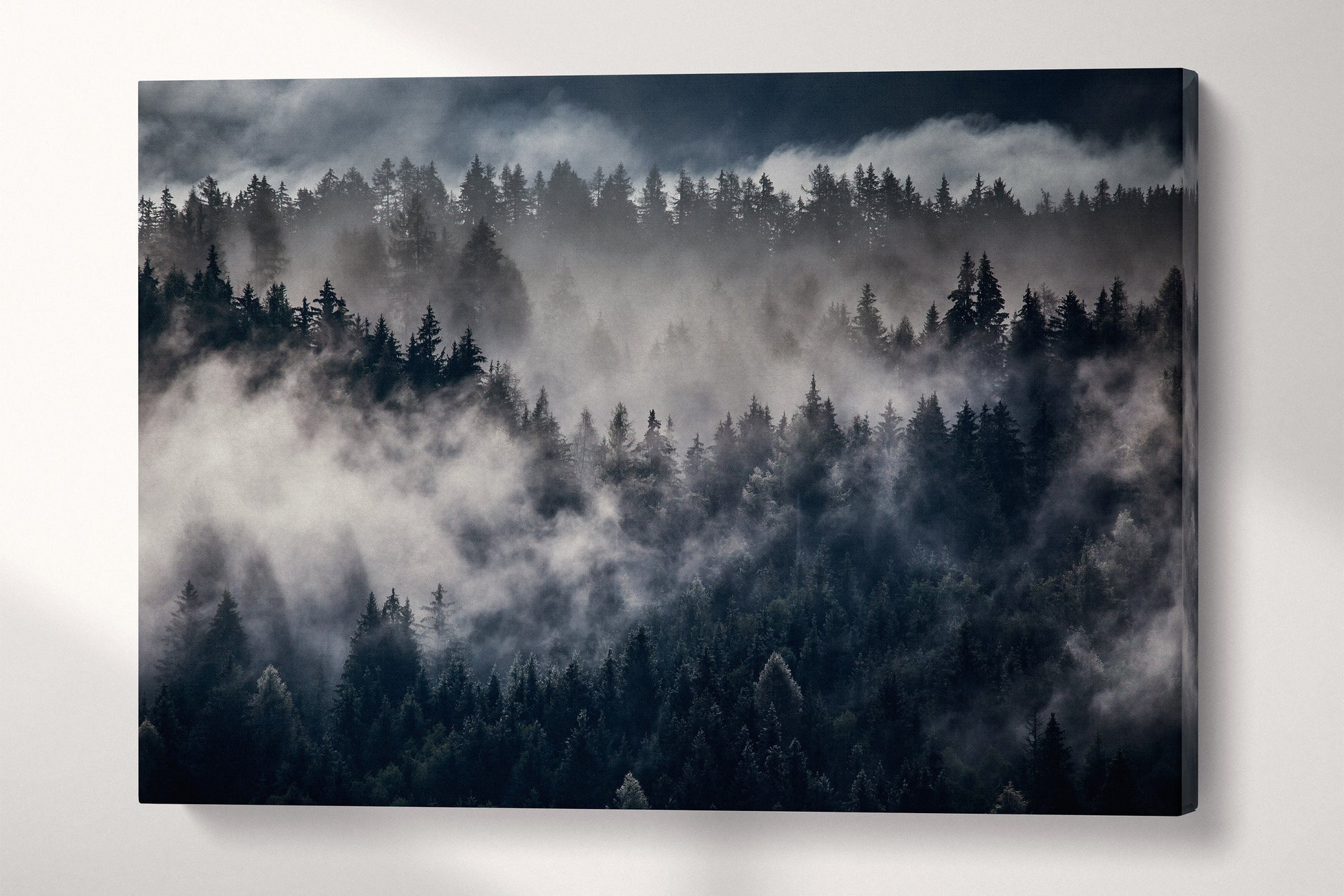 Misty Forest Framed Canvas Eco Leather Print, Made in Italy!