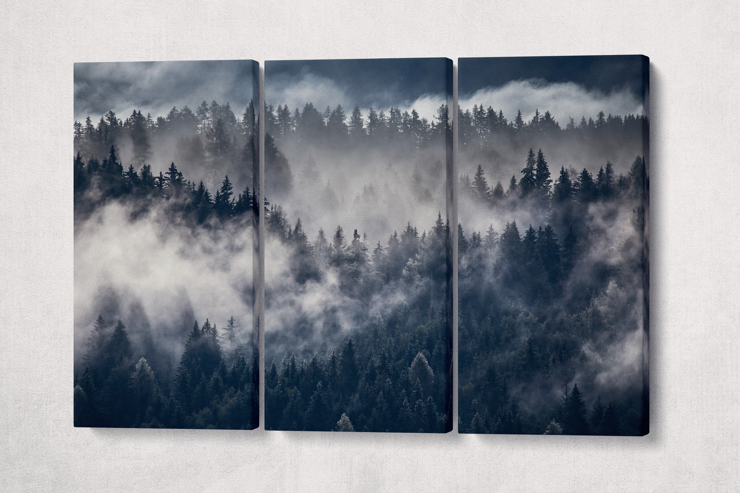 Misty Forest Framed Canvas Eco Leather Print, Made in Italy!