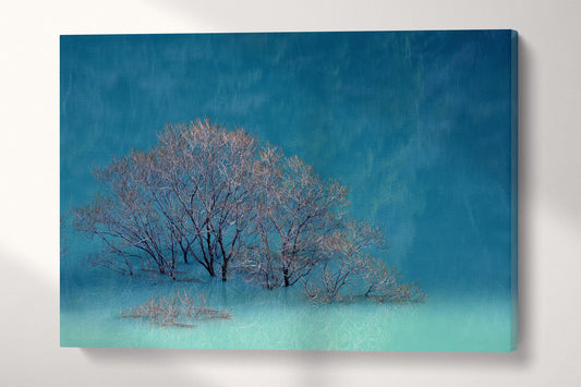 Crystal Water Lake Japan Wall Art Vegan Leather Canvas Ready to Hang