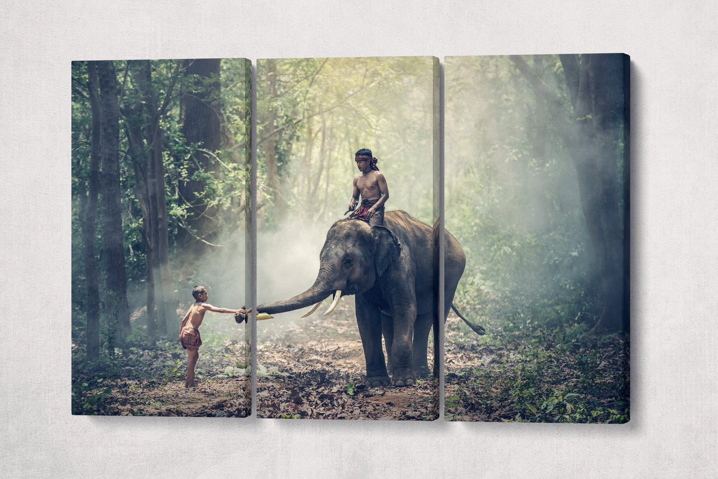 Wild Elephant in Cambodia canvas eco leather print triptych