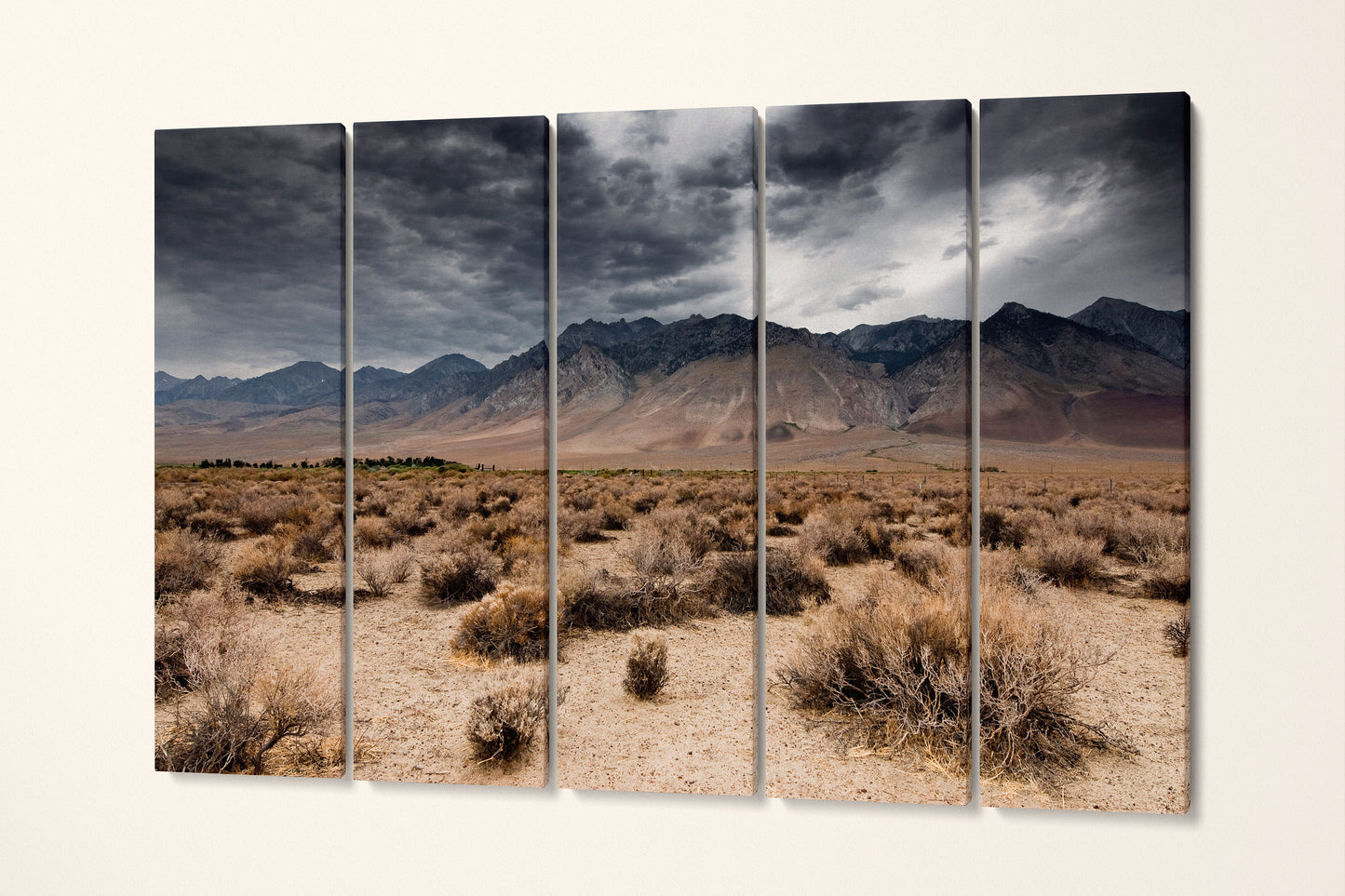 Dark Clouds Death Valley Wall Art Canvas Eco Leather Print, Made in Italy!
