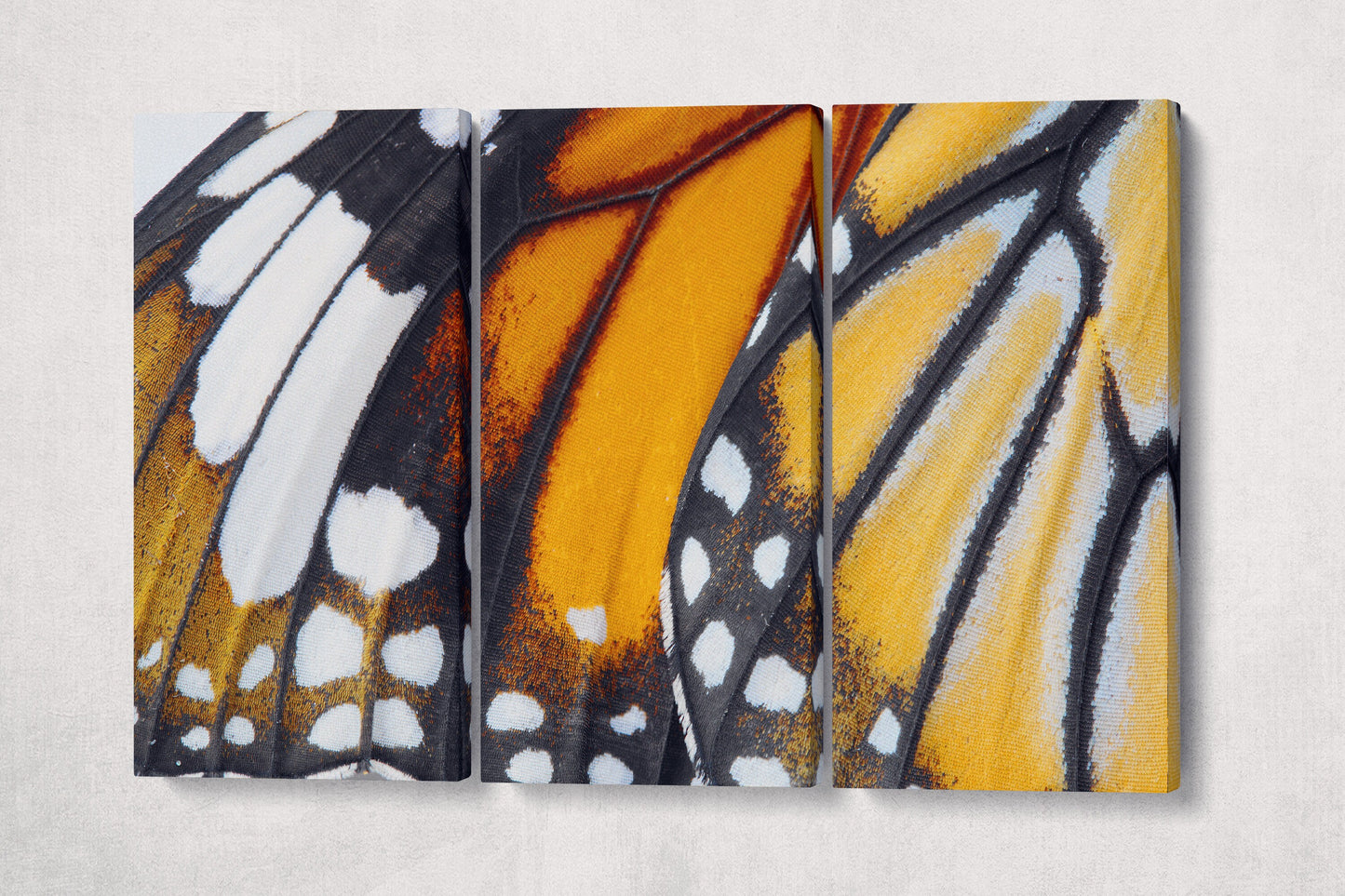 Danaus Chrysippus Butterfly Wing PETA Approved Eco Leather Canvas Triptych or Single Art