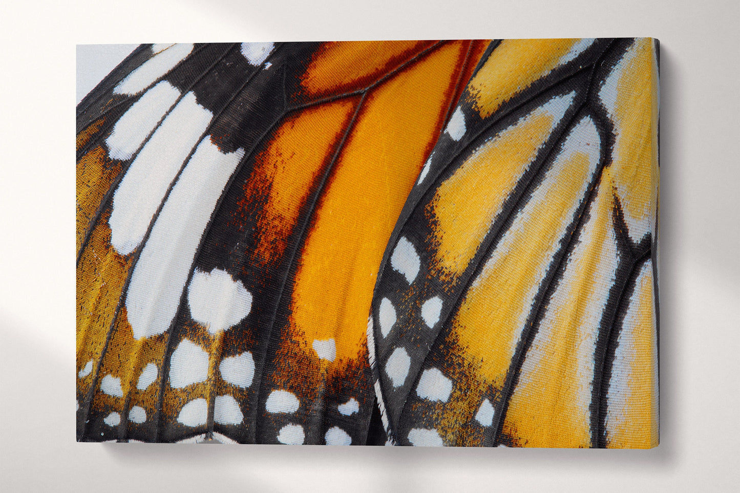 Danaus Chrysippus Butterfly Wing PETA Approved Eco Leather Canvas Triptych or Single Art