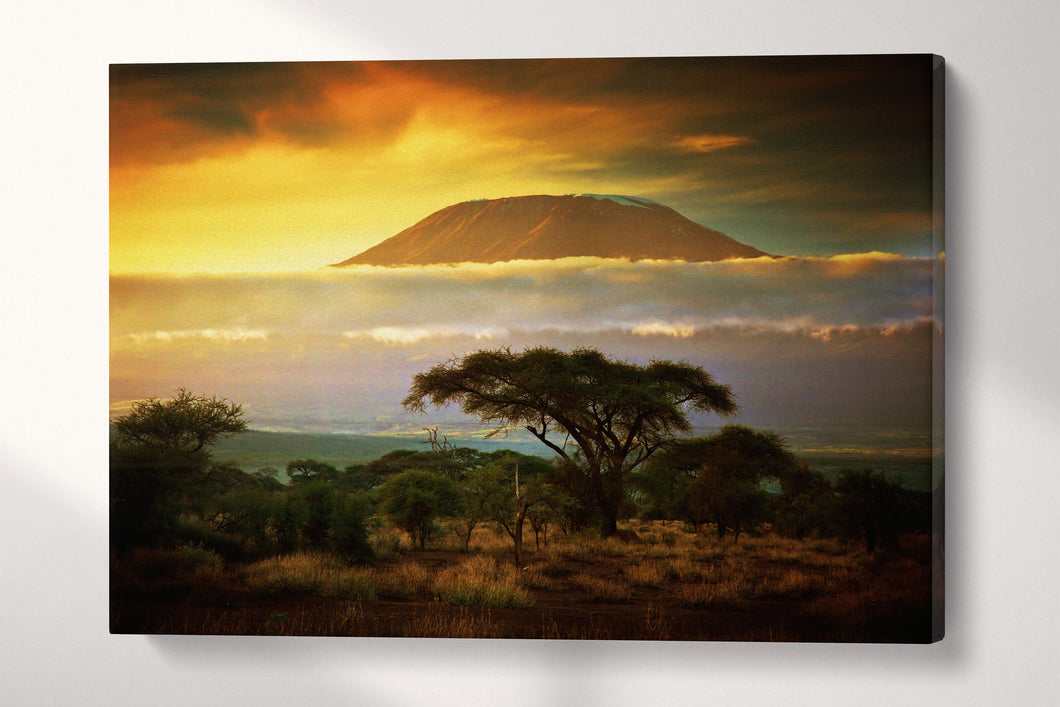 Mount Kilimanjaro Canvas Eco Leather Print, Made in Italy!