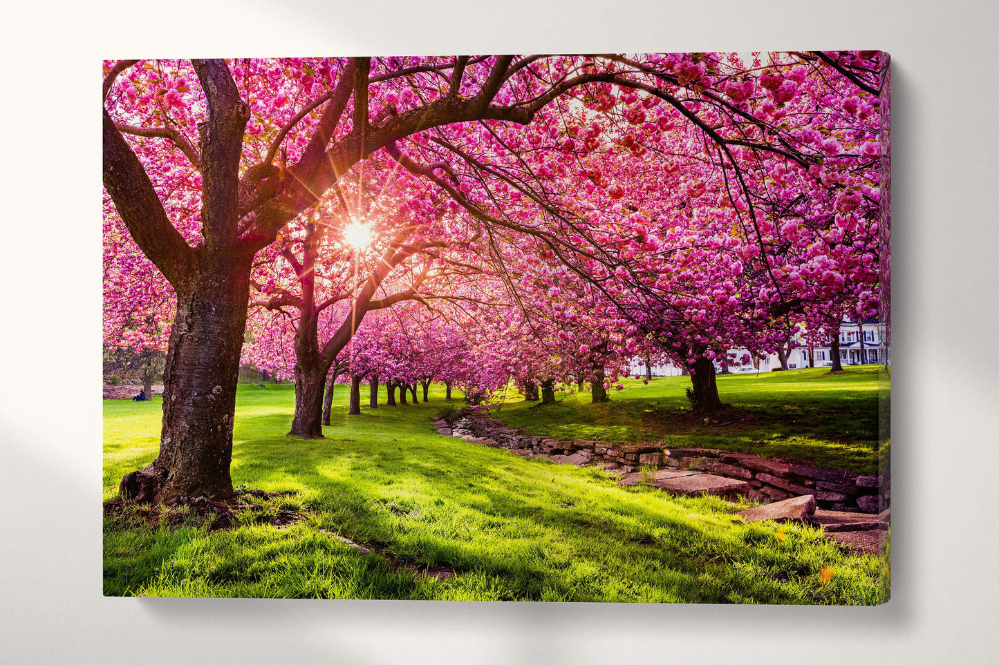 Cherry Tree Blossom Canvas Eco Leather Print Angle