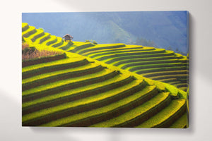 Rice terrace Vietnam wall art canvas