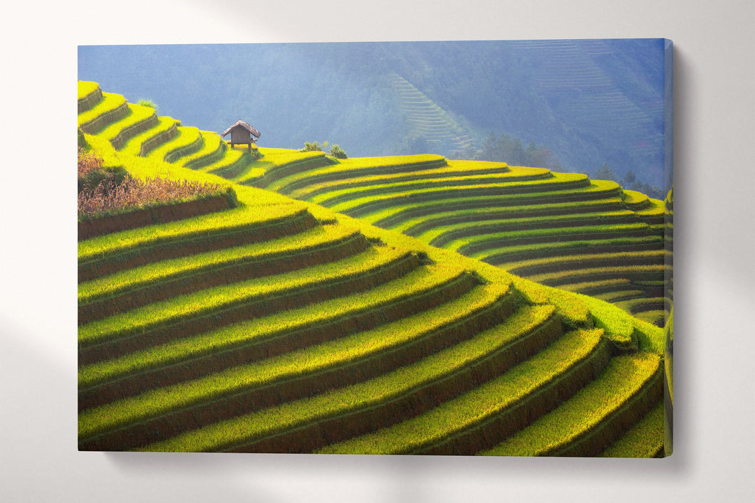 Rice terrace Vietnam wall art canvas