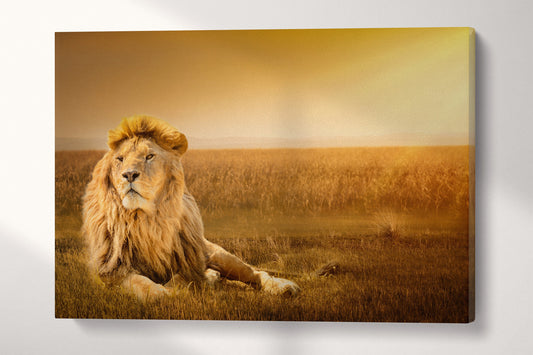 Lion wall art wall decor wall hanging home art canvas print
