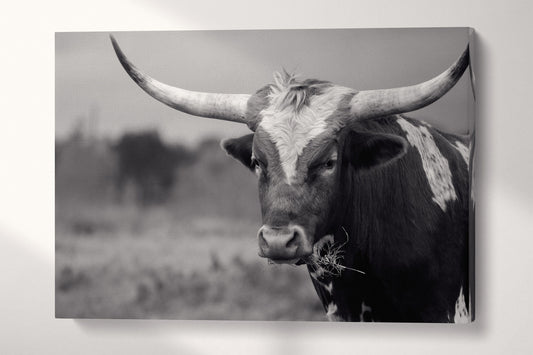 Texas Longhorn Steer Black And White PETA Approved Faux Leather Art