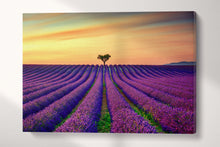 Load image into Gallery viewer, 3 Panel Lavender in Provence, France Framed Canvas Leather Print