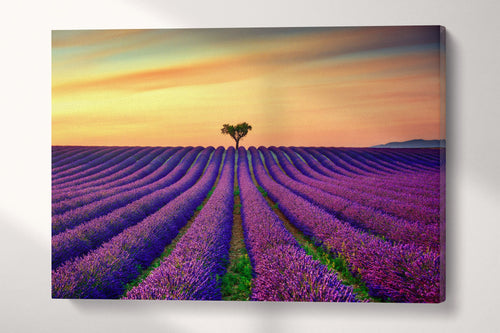 3 Panel Lavender in Provence, France Framed Canvas Leather Print