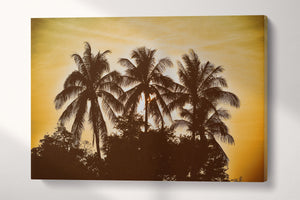 Palm Trees Vintage Filter wall art
