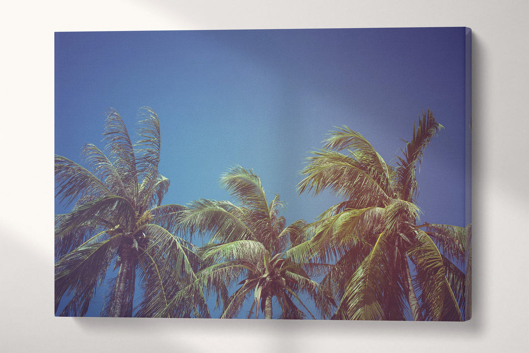 Leaves of Coconut Vintage Filter Tropical Wall Art Canvas Print