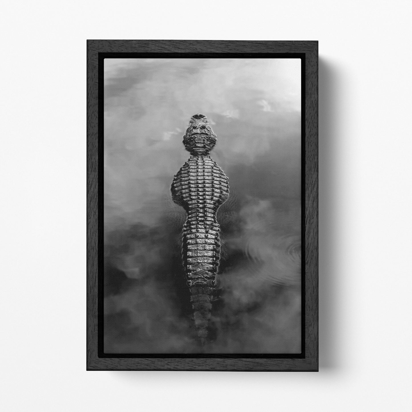 Alligator in Water Black and White Eco Leather Wall Art Black Floating Frame