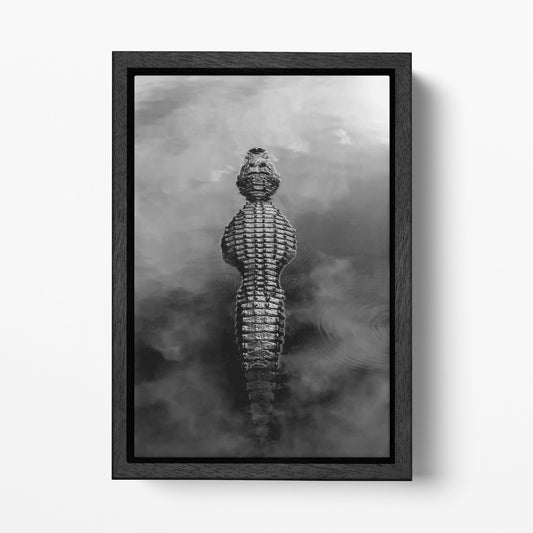 Alligator in Water Black and White Eco Leather Wall Art Black Floating Frame