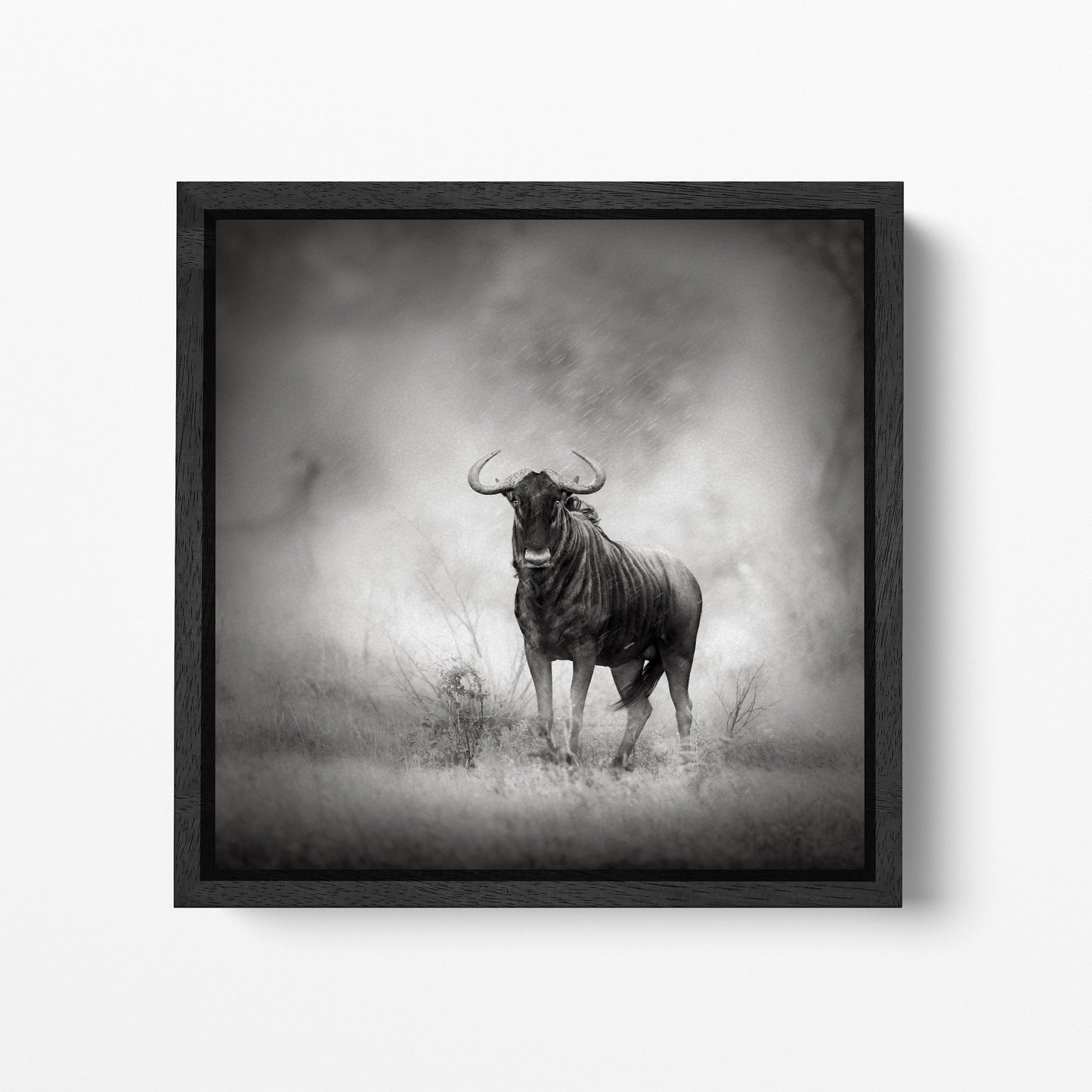 Blue Wildebeest framed canvas wall art