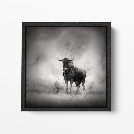 Blue Wildebeest framed canvas wall art