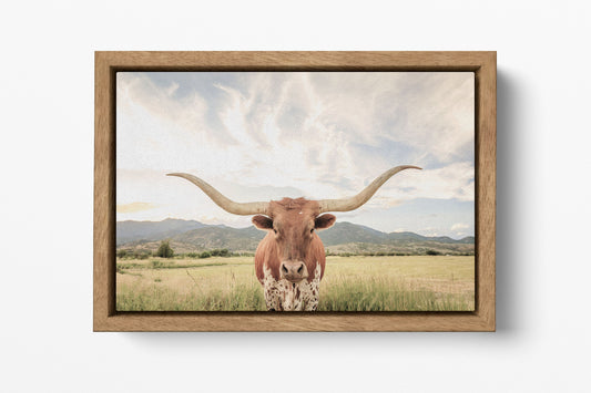Texas longhorn steer cattle premium wood floating frame soft tones