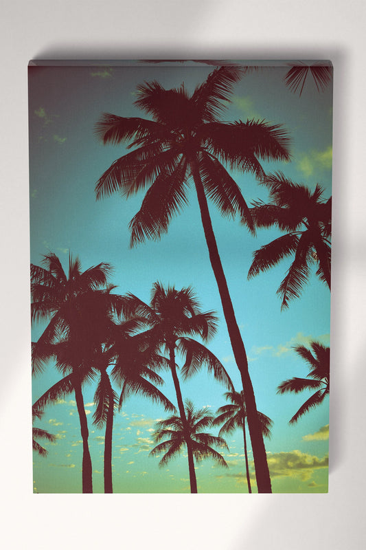 Hawaii Palms Framed Canvas Vintage Filter Leather Print