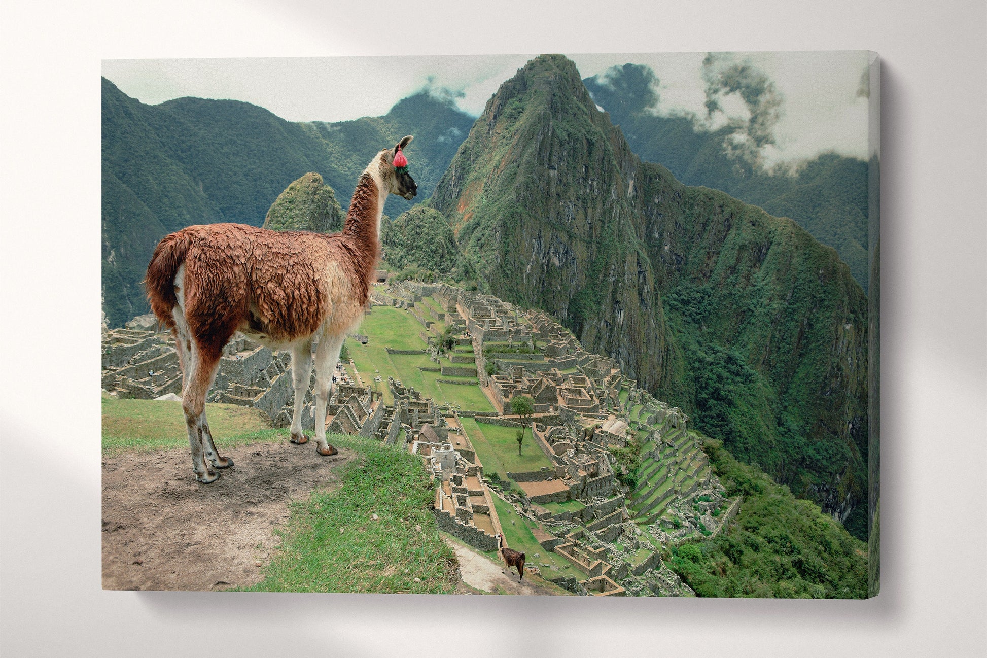 Machu Picchu Alpaca 3 Panel Framed Canvas Leather Print