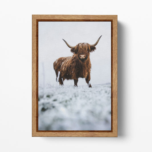 Longhorn Cow In The Snow Canvas Wall Art Home Decor Eco Leather Print Wood Frame