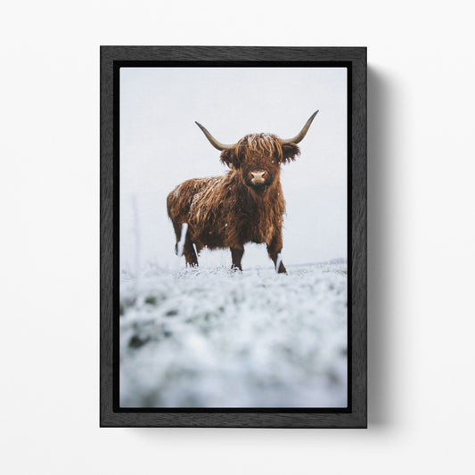 Longhorn Cow In The Snow Canvas Wall Art Home Decor Eco Leather Print Black Frame