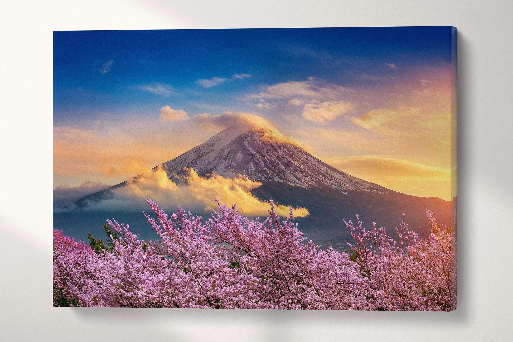 Fuji Cherry Tree Blossom Japan Wall Art Canvas Eco Leather Print 3D
