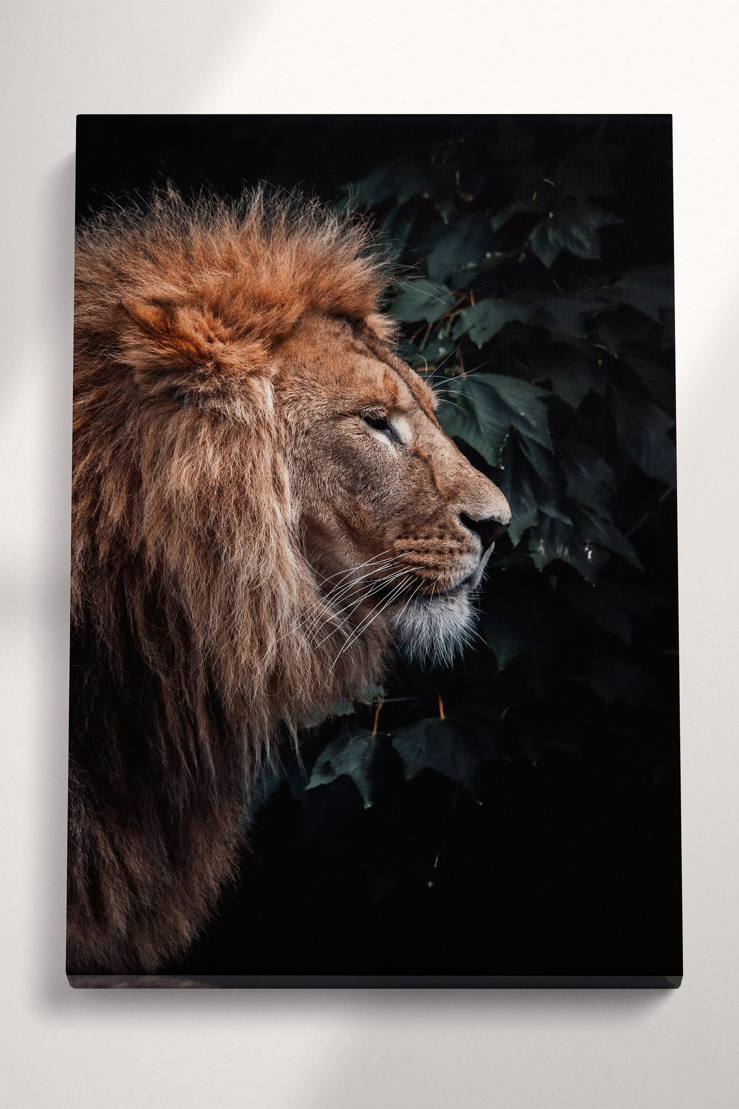 Lion In The Grass Portrait Canvas Wall Art Home Decor Eco Leather Print, Made in Italy!