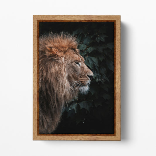 Lion In The Grass Portrait Canvas Wall Art Home Decor Eco Leather Print, Made in Italy!