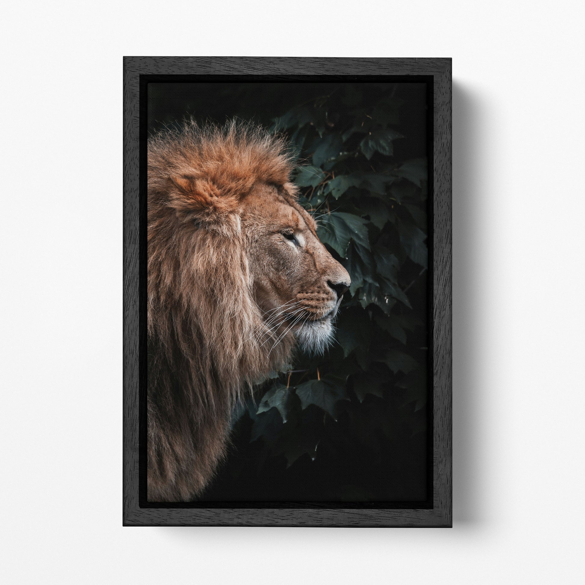 Lion In The Grass Portrait Canvas Wall Art Home Decor Eco Leather Print, Made in Italy!