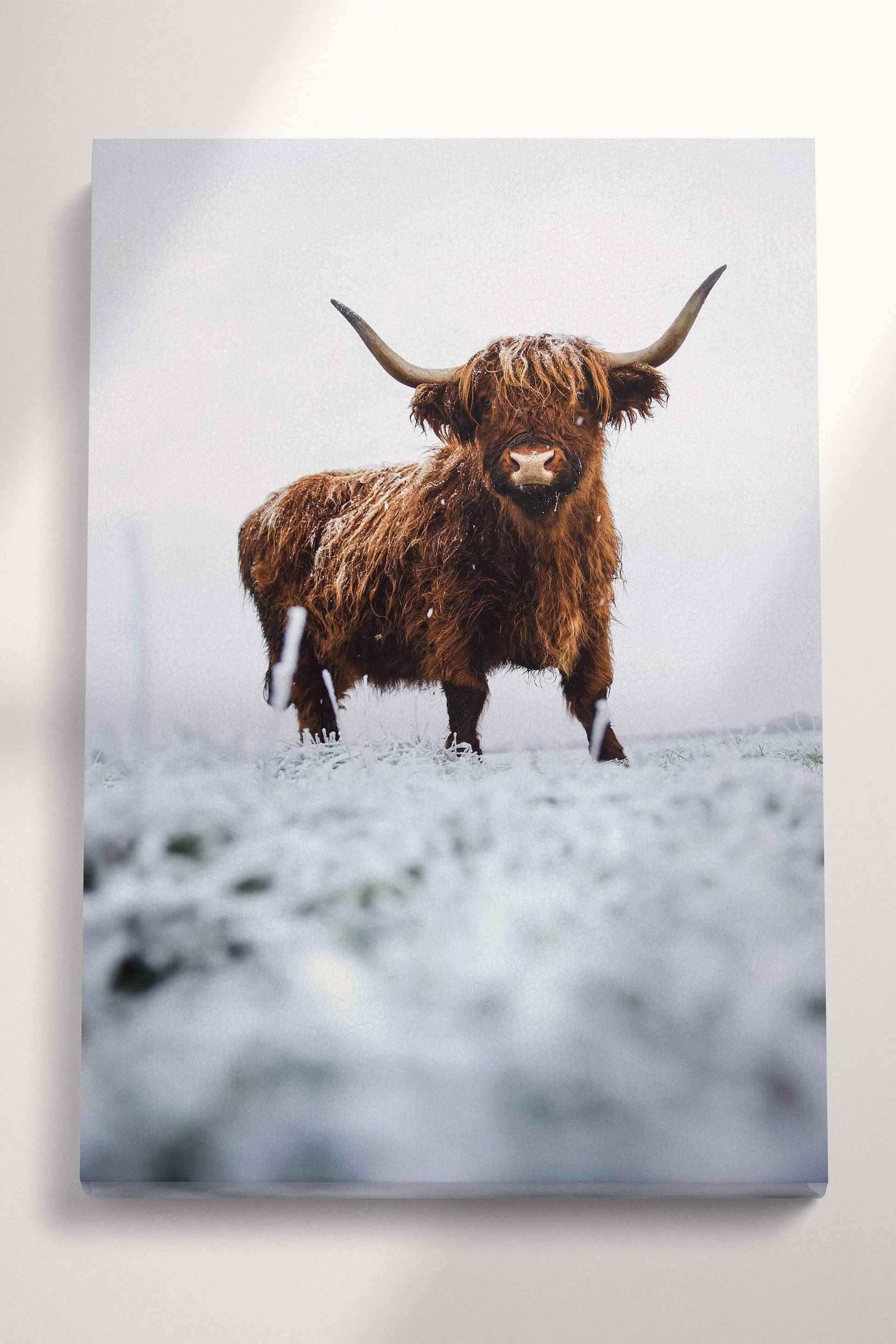 Longhorn Cow In The Snow Canvas Wall Art Home Decor Eco Leather Print