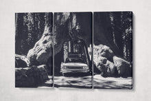 Load image into Gallery viewer, Vintage Car in Giant Sequoias, Yosemite Black and White Canvas Eco Leather Print 3 panels