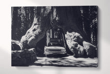 Load image into Gallery viewer, Vintage Car in Giant Sequoias, Yosemite Black and White Canvas Eco Leather Print single panel