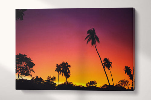 Tomatlán Jalisco Palm Silhouette Sunset Canvas Eco Leather Print