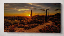 Laden Sie das Bild in den Galerie-Viewer, Sunset Arizona Desert Wall Art Eco Leather Canvas Print