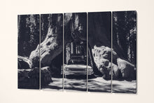 Load image into Gallery viewer, Vintage Car in Giant Sequoias, Yosemite Black and White Canvas Eco Leather Print 5 panels