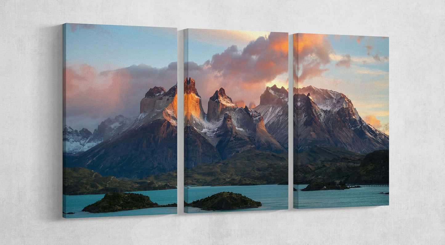 Patagonia Torres del Paine Canvas Eco Leather Print 3 Panels
