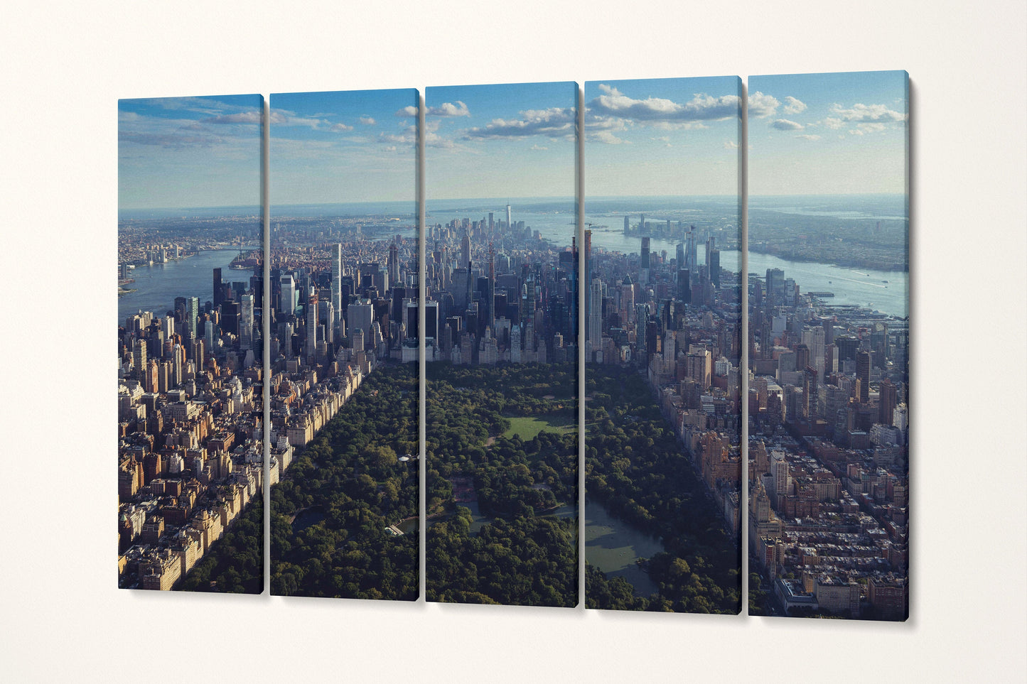 Central Park New York City Aerial View Canvas Eco Leather Print 5 Panels