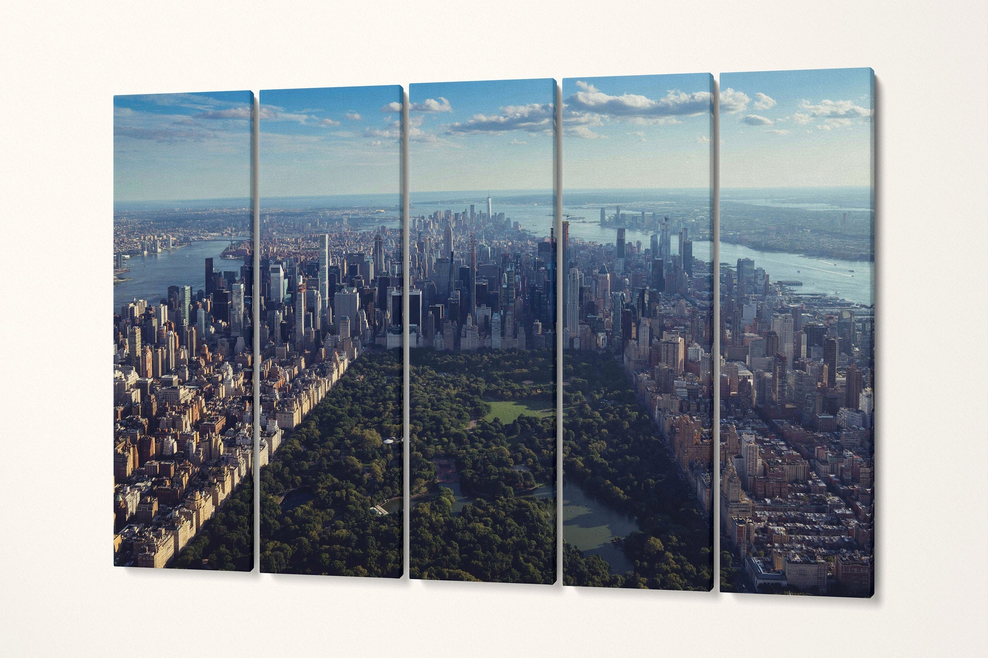 Central Park New York City Aerial View Canvas Eco Leather Print 5 Panels