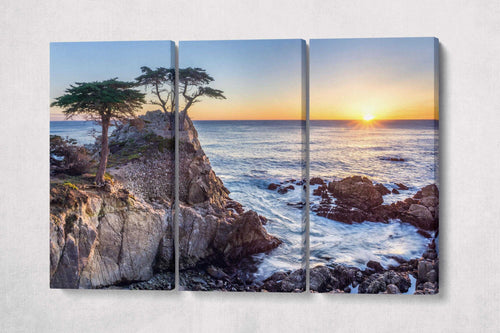 Lone Cypress Pebble Beach California Wall Art Framed Canvas Eco Leather Print 3 Panels