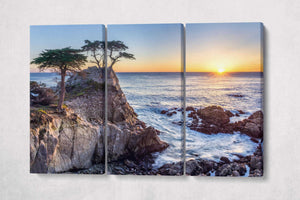 Lone Cypress Pebble Beach California Wall Art Framed Canvas Eco Leather Print 3 Panels