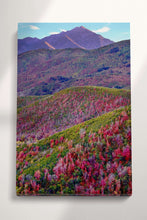 Charger l&#39;image dans la galerie, Alpine Loop, Mount Timpanogos, Cascade Springs, North Central Utah Wall Art Eco Leather Print